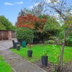 rlm 001362 p w 7am0kskgr.jpg