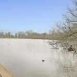 rlm 001449 p w 7dt0kwnor.jpg