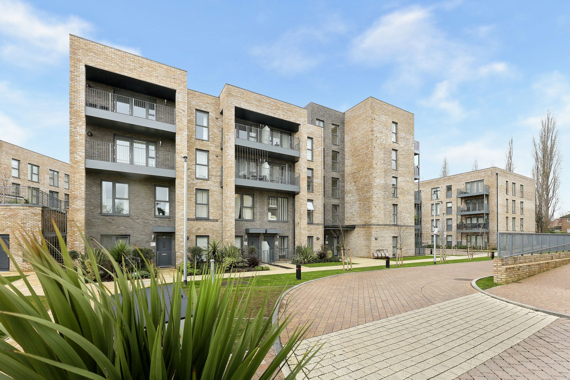 rlm 001469 p w 7ek0uundq.jpg