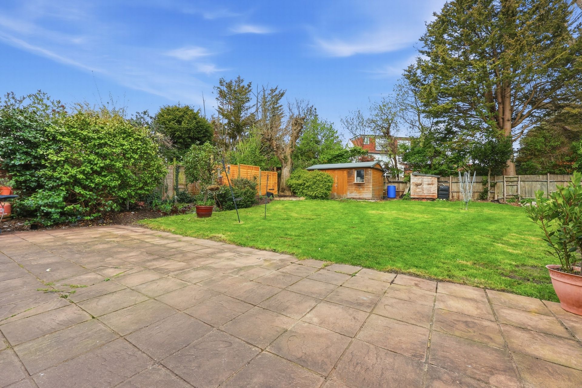 rlm 001408 p w 7fr0mho8f.jpg